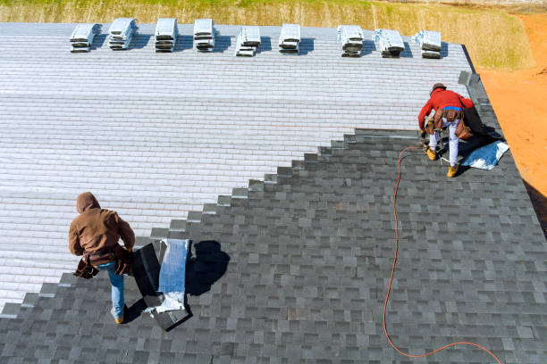 Roof Gutter Cleaning in Cahokia, IL