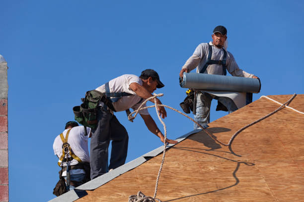 Best Roof Leak Repair  in Cahokia, IL